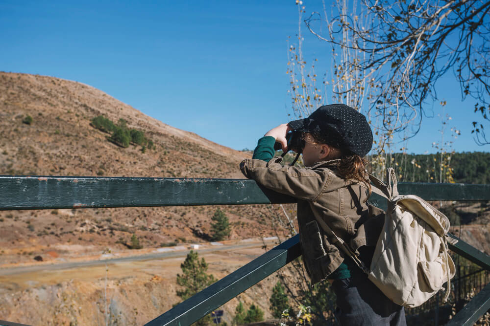 The Ultimate Guide to Wildlife Tours in Montana
